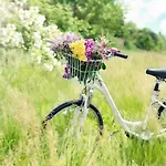 بيت للعطل By The Lake, Sauna, Boat, Bicycles *