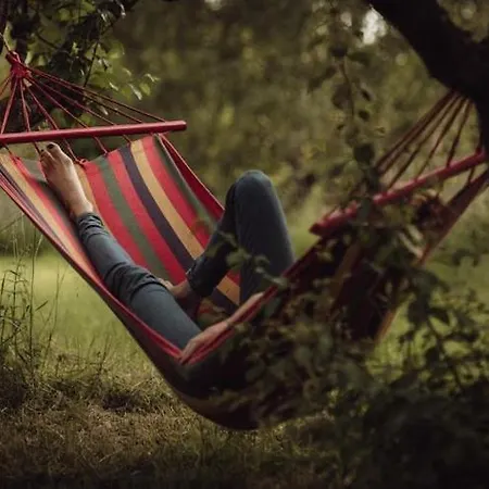 By The Lake, Sauna, Boat, Bicycles