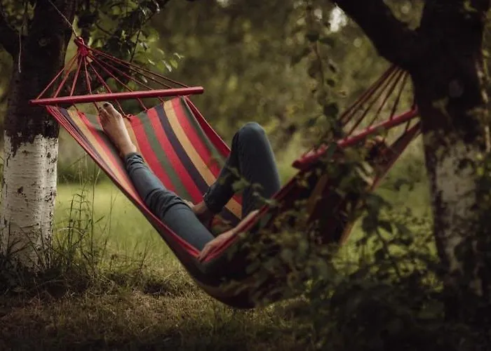By The Lake, Sauna, Boat, Bicycles